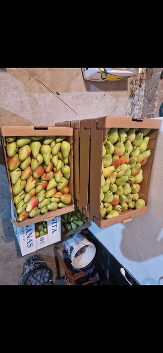 Pere Soiul Monica!