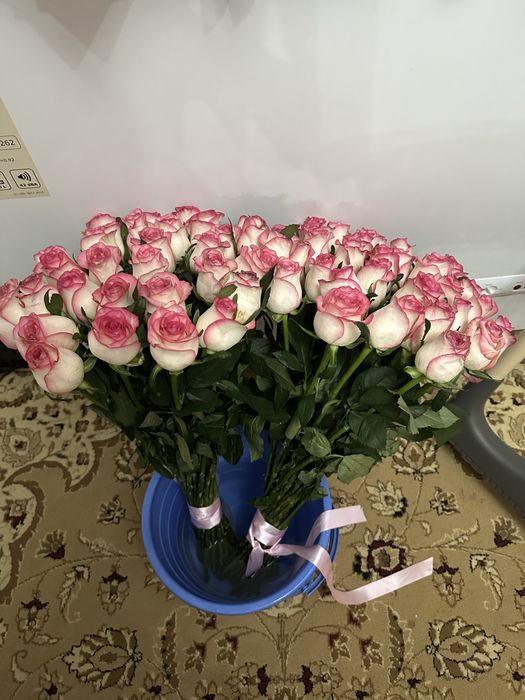 Цветы по выгодной цене