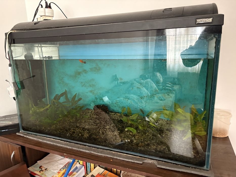 Acvariu 200 (100 x 40 x 62)