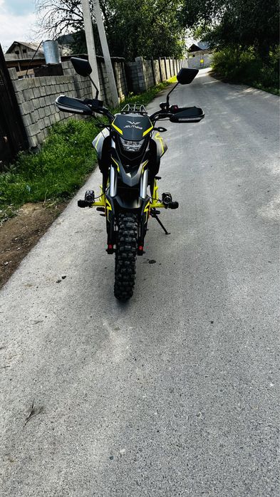 Jelmaia G7 (қара бұқа)