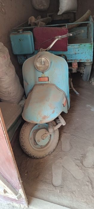 Муравей русимли транспорт