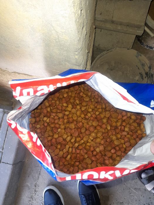 Продам Корм для собаки Чапи