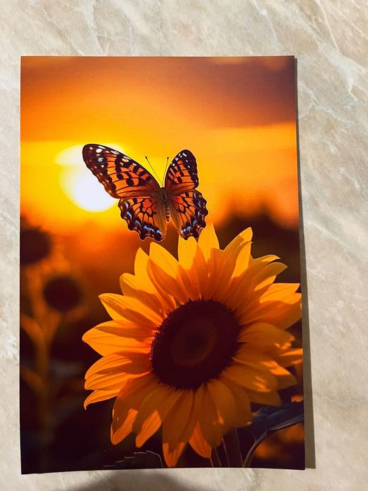 Копиране на снимки 50 снимки 5евро