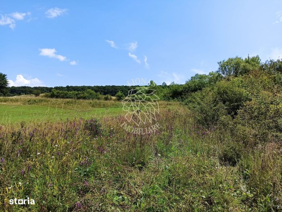 Parcele teren 4038 mp - Parcelabil - Zona Valea Stanelor
