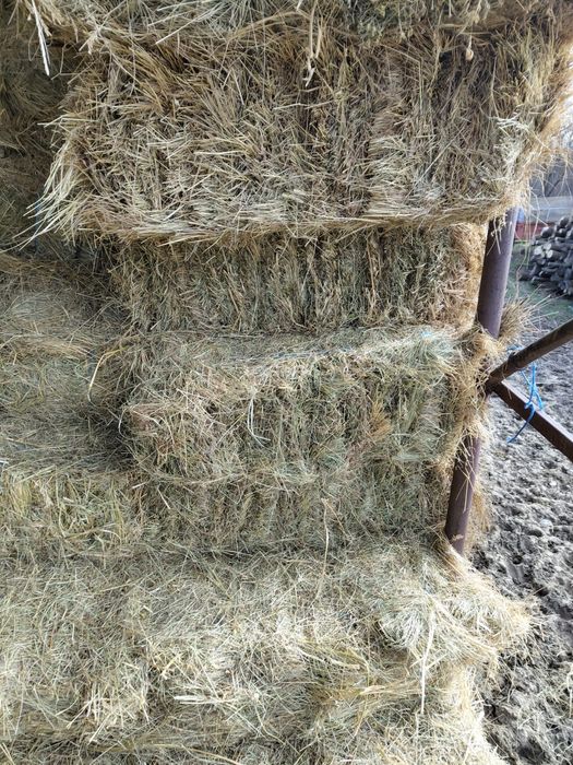 Vand baloti de lucerna