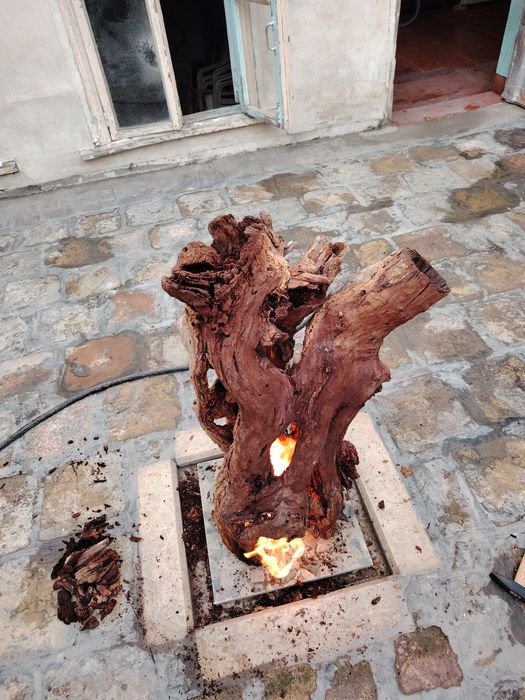 Коряга аквариумга сотилади.