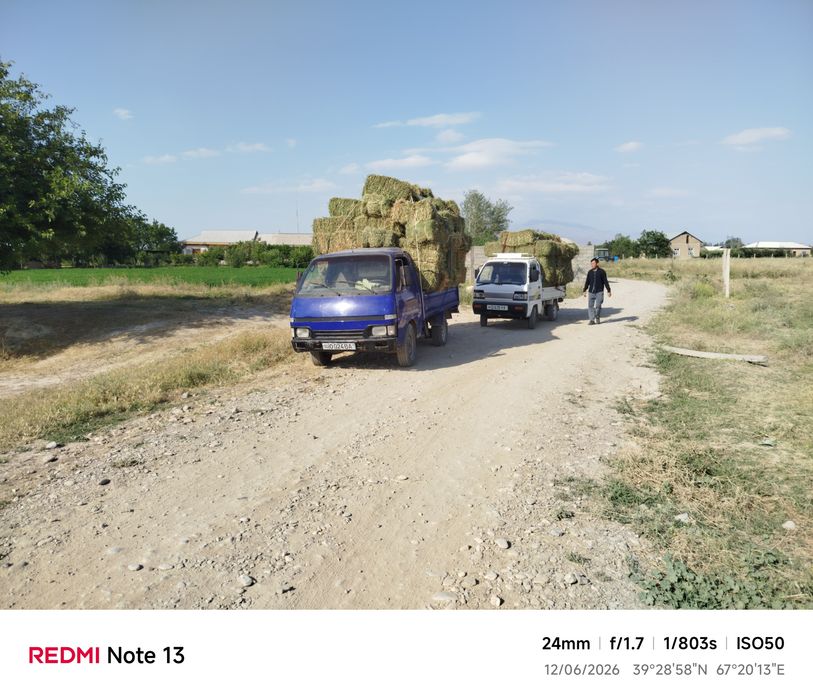 ISUZU MIDI sotiladi