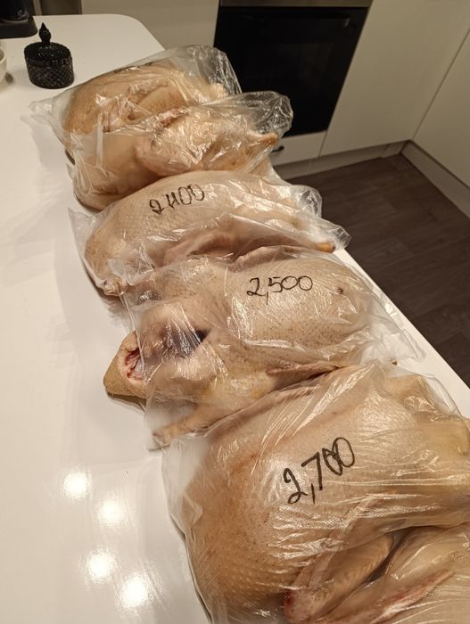 Продам домашних уток,находимся в Имантау.