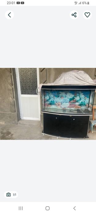 Аквариум 500 л Продаётся