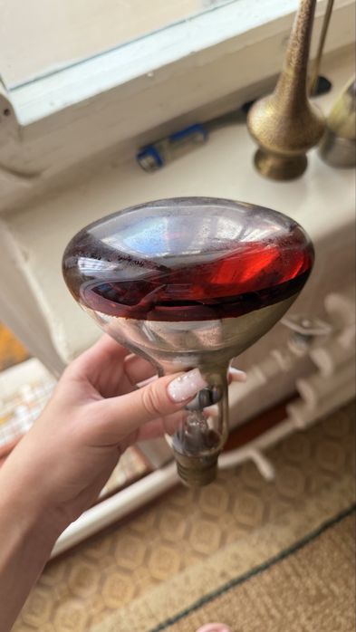 Продам цена догр