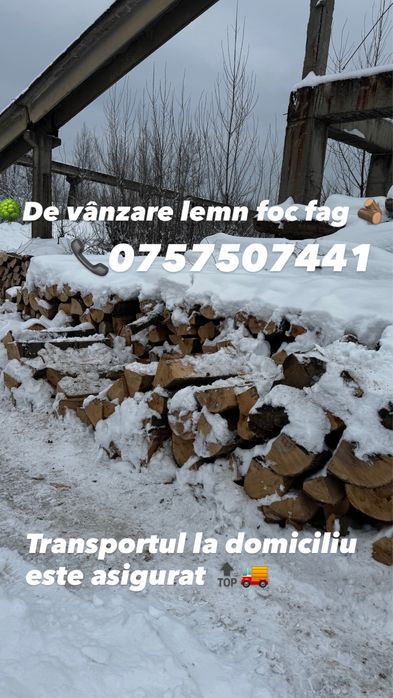 Vand lemn foc fag !