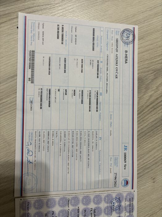 Женско САО АЛАБАЙ с родословие