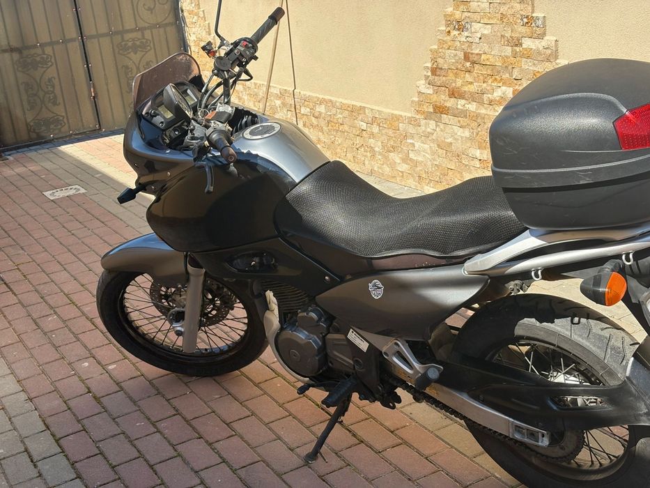 Suzuki XF 650 freewind
