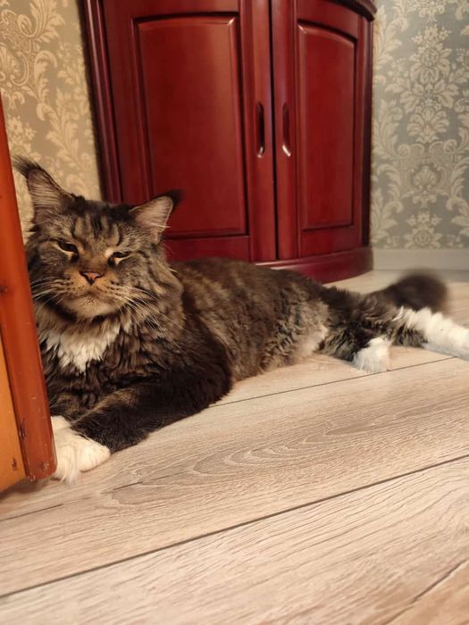 Укладка кварц винила,SPC, ламинат