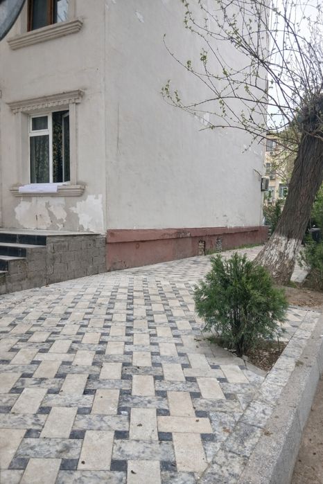 Ялангач на против ЭкО базара