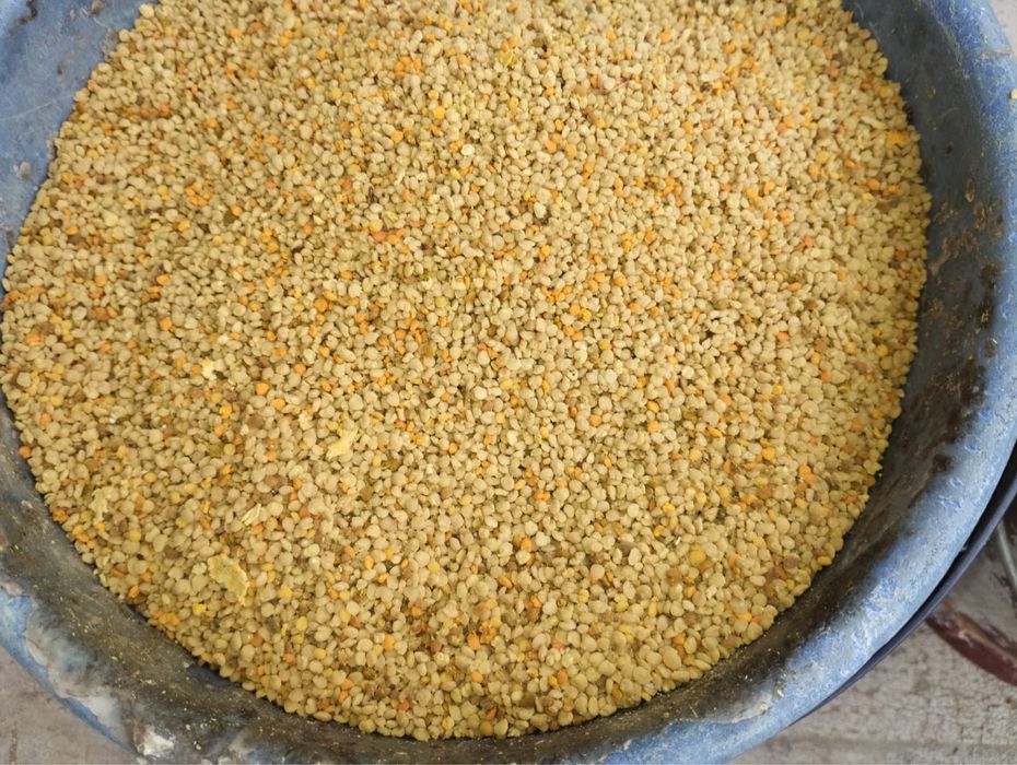 Vand polen de paducel (congelat)