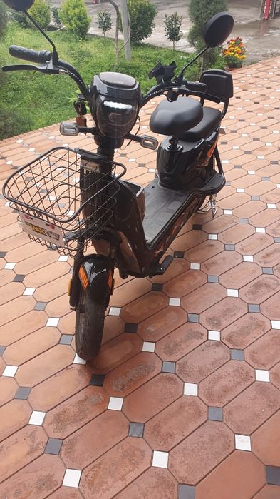 Skuter xolati zur