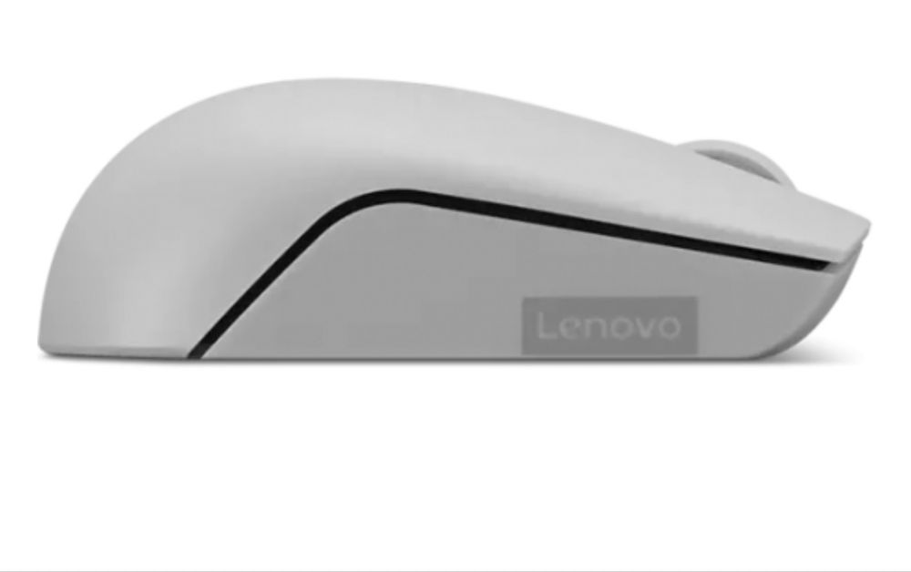 Mouse optic Lenovo 300 USB Wireless Arctic Grey