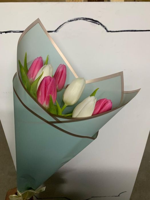 Премиальные голландские тюльпаны