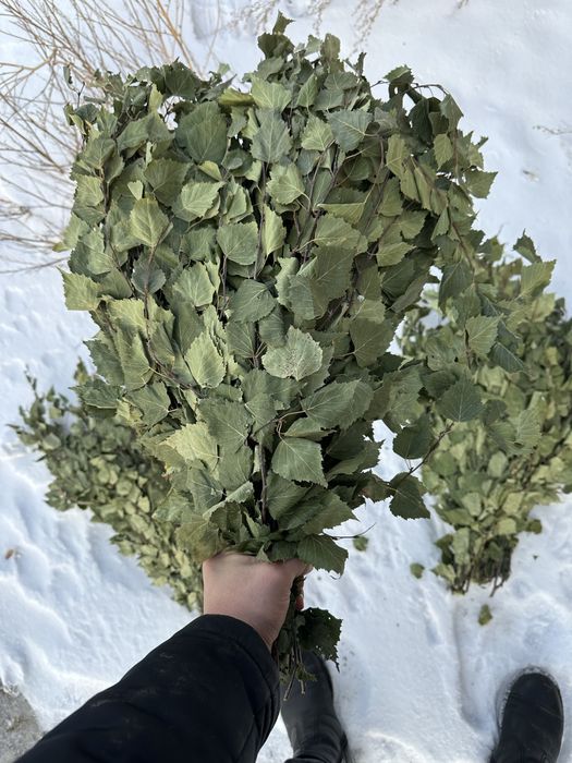 Веники береза и дуб