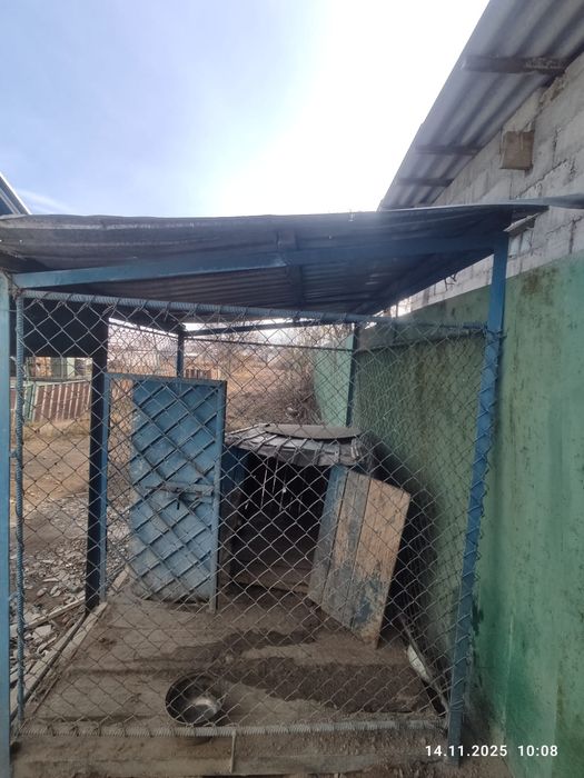 Вальер для собаки