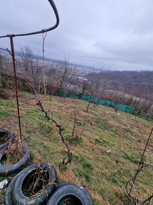 Teren 981 m² –  – lângă Dedeman / Jandarmerie – drumul spre biserică