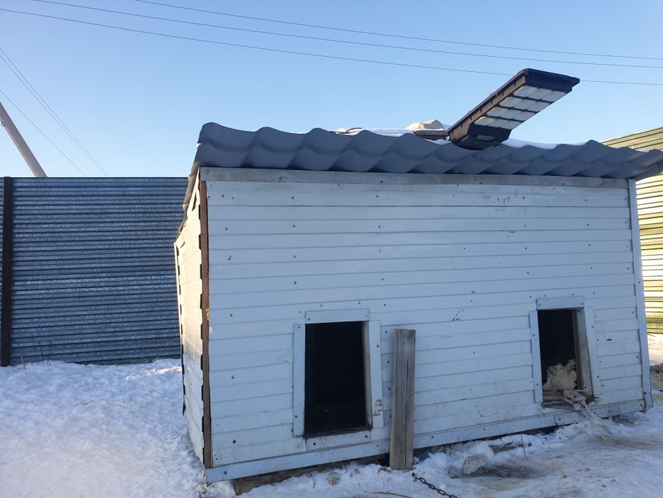 Продам будку для собак