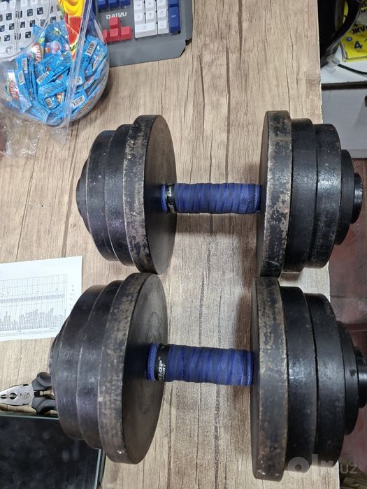 Gantel toshlar 25 kilolik 2ta