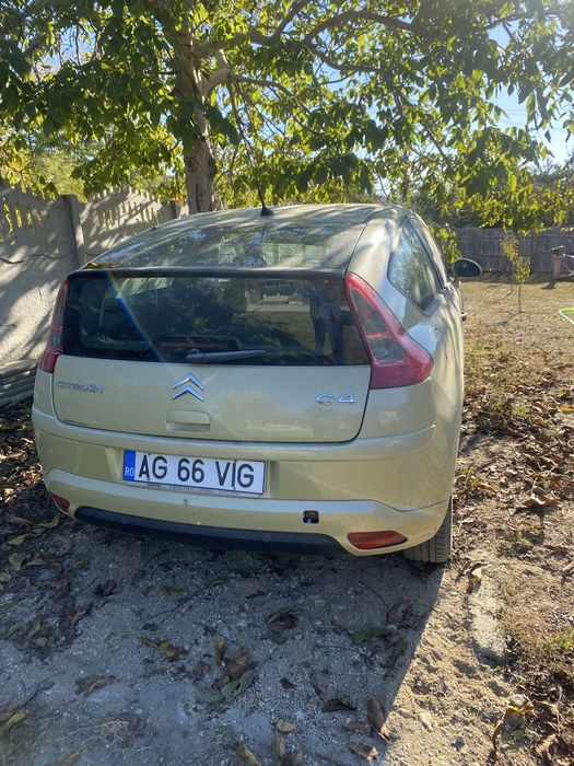 Citroen super bun