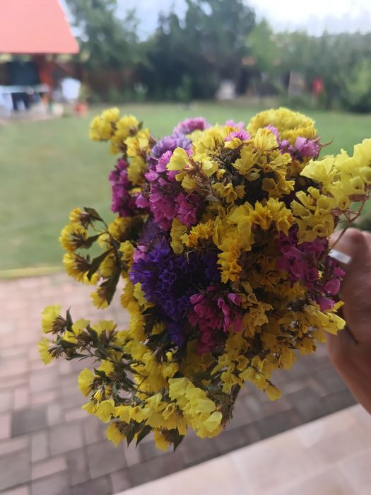 Buchet de flori uscate