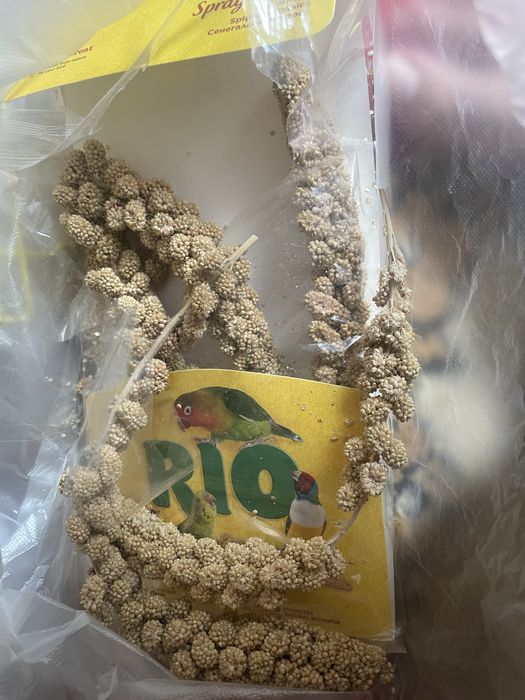 Клетка для попугая