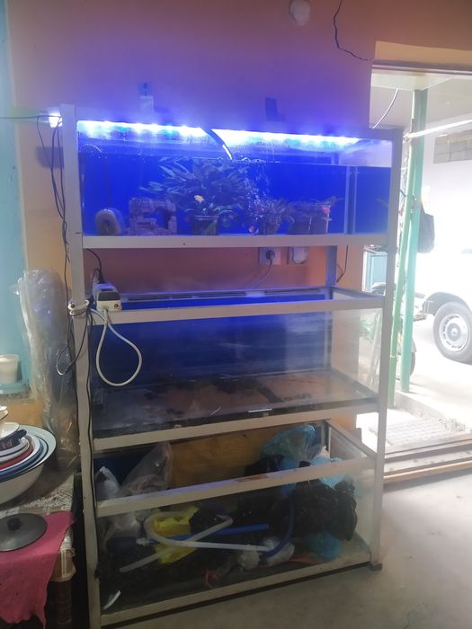 Продаётся Стеллаж акварюм 120 литр каждый акварюм