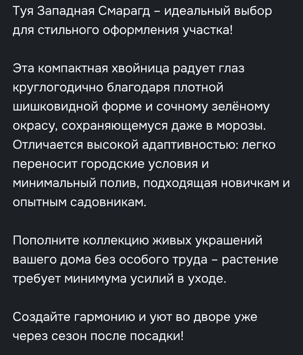 Продам туи-саженцы
