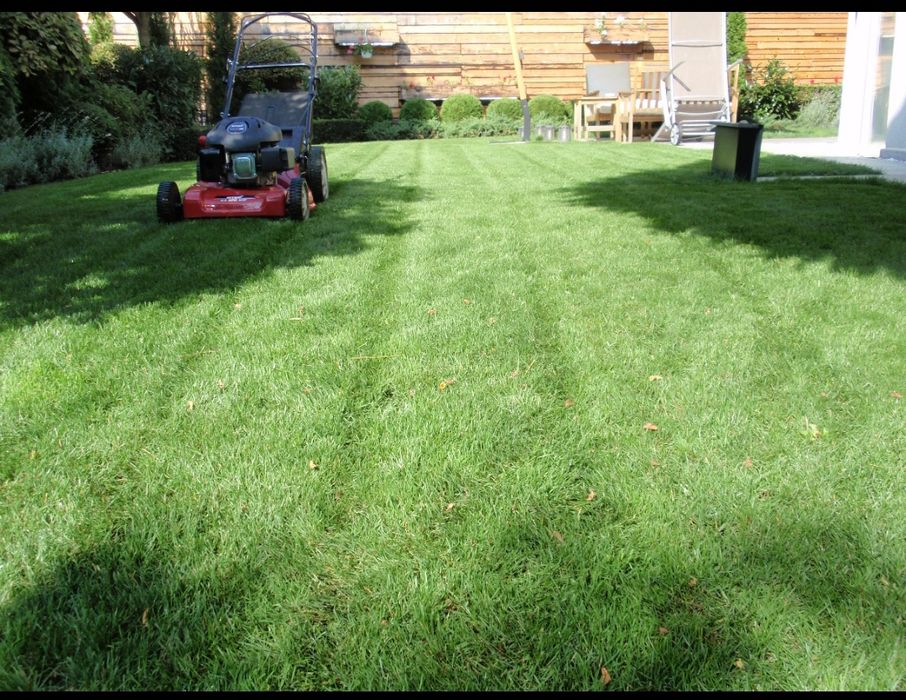 Поддръжка на зелени площи | Почистване на листа | Почистване на сняг