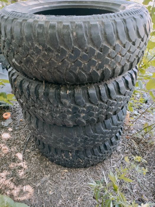 Off-road cordiant