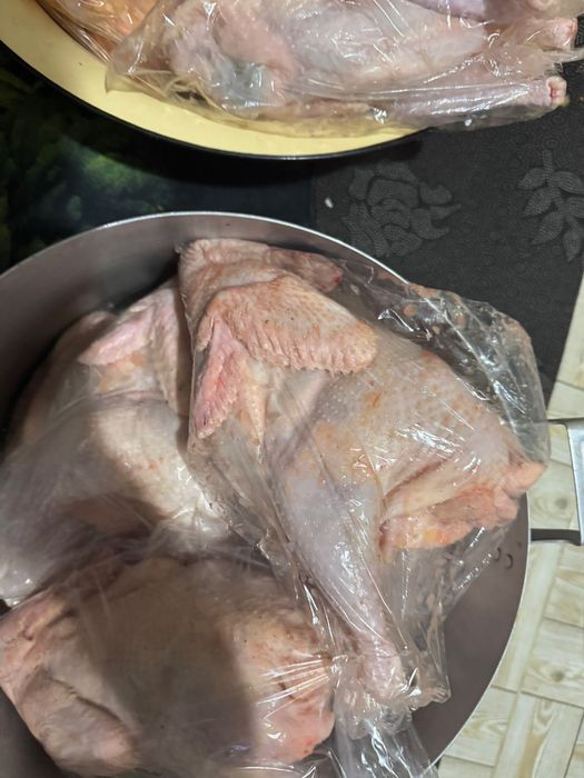 Свежий тауық еті сатылады