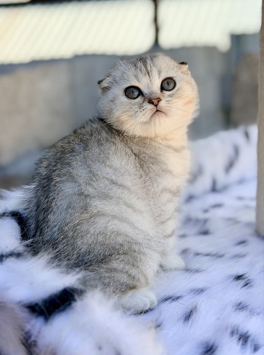 Малыши с документами