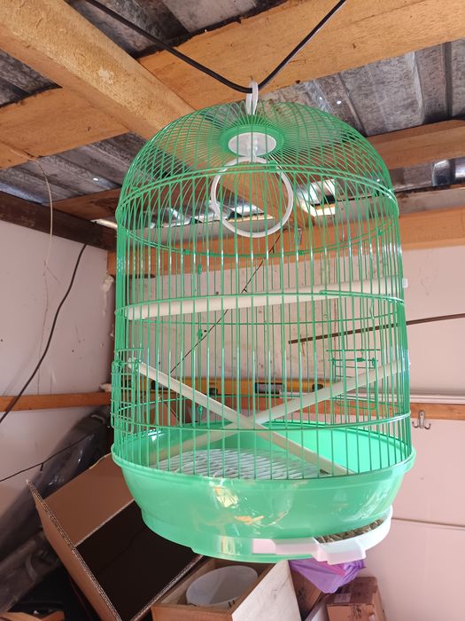 Disponibil colivie aproape noua preț 100 lei