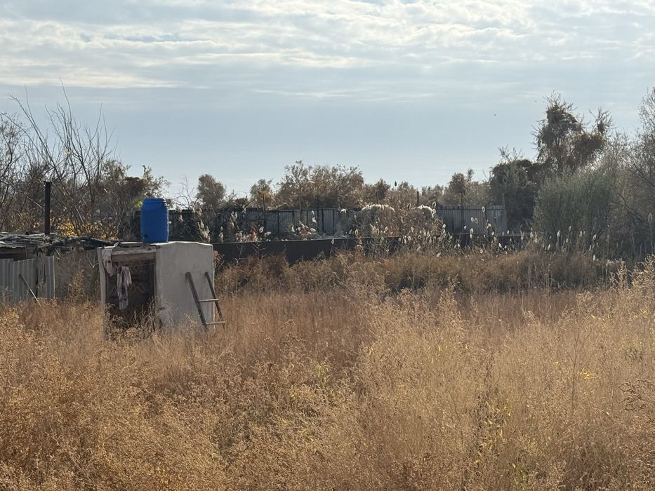 дача ягодка 20 соток