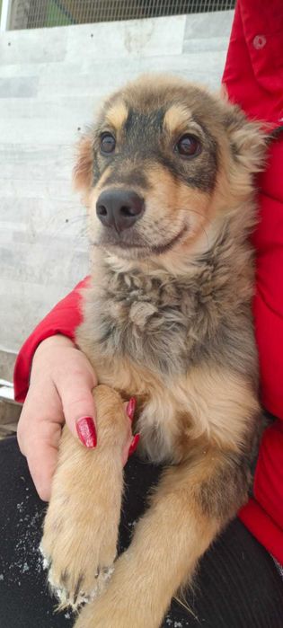 Отдам мальчика только в хороши дом