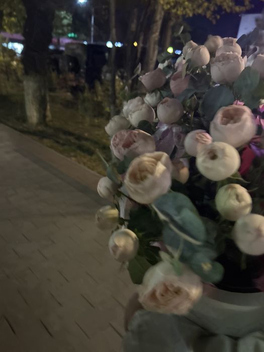 Пионидивный раушан 51 шт