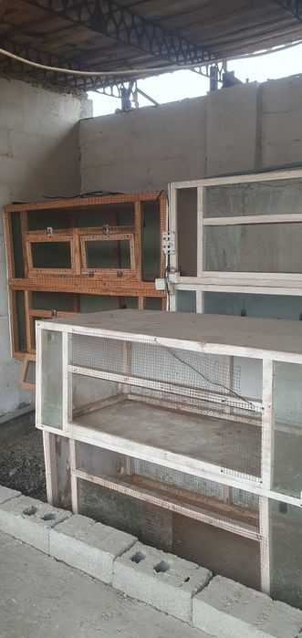 Брудер, катак жужа бокиш учун махсус уй.