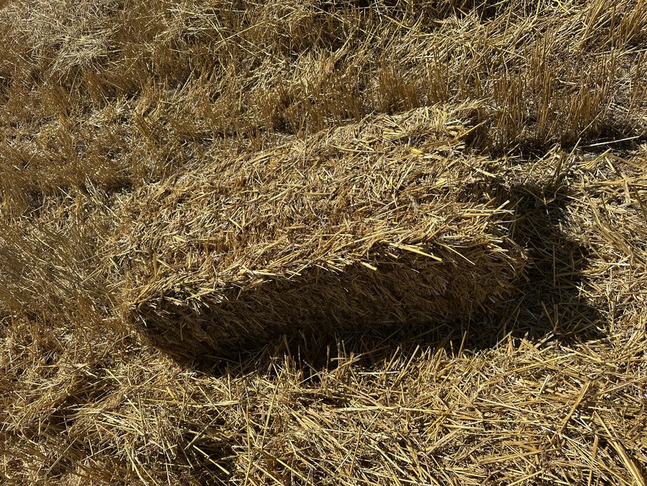 Baloti lucerna / paie