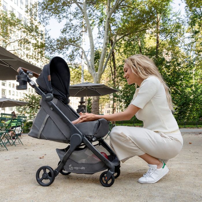 Коляска прогулочная Ergobaby Metro