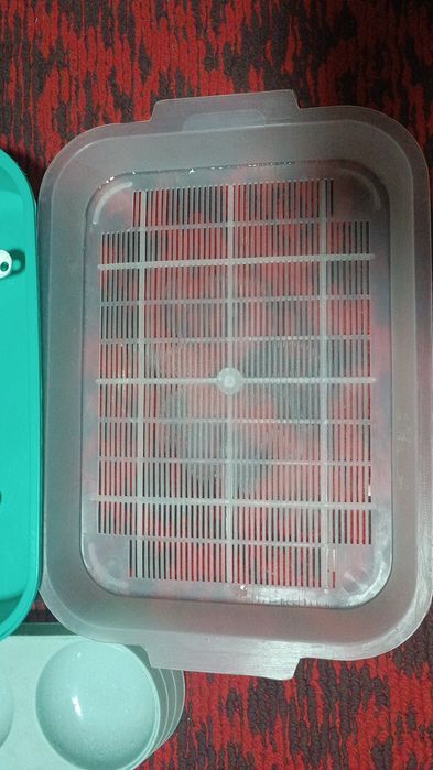 Mushuklar uchun idishlar