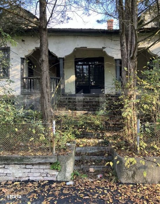Teren Buzias, langa parc