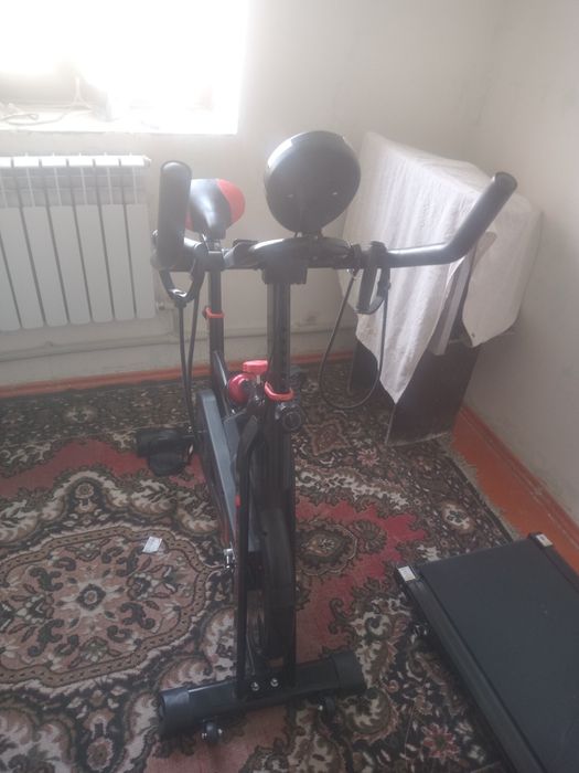 Бегодорожка и велотренажёр.