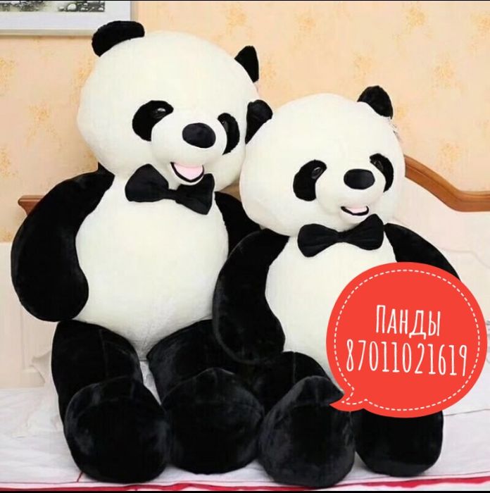 Панды панда Алматы плюшевые мишки