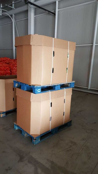 КАШОНИ ЗА ДИНИ ОТ ПРОИЗВОДИТЕЛ от 350 до 700 кг RONDOCARTON SRL