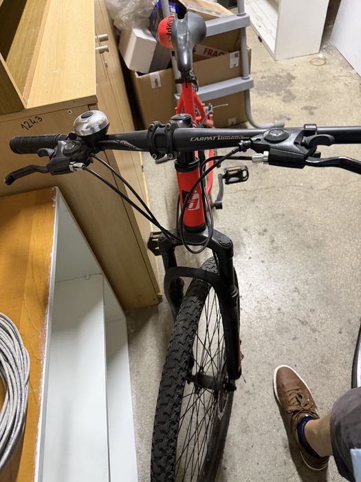 Bicicleta  adulti